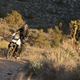 Illustration for article titled Death Valley and Ice Cream - We Ride the 2015 Taste of Dakar